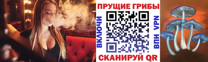 Галлюциногенные грибы Psilocybine cubensis продажа наркотиков Тверь