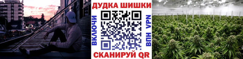 закладки  Тверь  Конопля гибрид 
